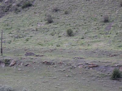 Кладбище “КIяъля”