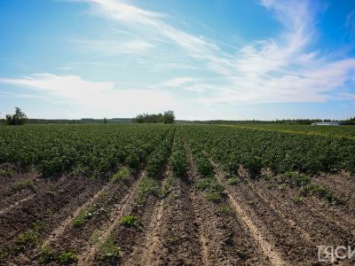В Якутии начнут использовать агродроны для повышения урожайности