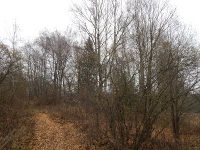 Родина выдающегося советского педагога Т.С. Шацкого