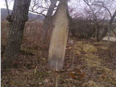 Стела надмогильная основателя с.Балтамахи