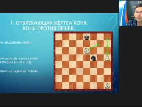 Международный вебинар «Коневой и слоновый эндшпиль»