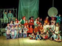 Каменский городской дом культуры