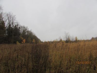 "Липецкое поле" – место битвы с татарами