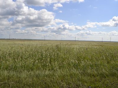 Могила неизвестного красноармейца