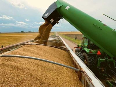 Херсонская область начала экспорт урожая зерновых в Россию