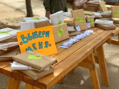 Страусиное яйцо и видеоэкскурсии в «Библиопарке»