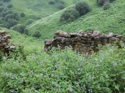 Башня жилая № 6