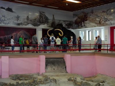 Государственный археологический музей-заповедник «Костенки»