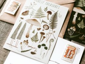 Открытка Дворникова А. "Лесные сокровища" светлая