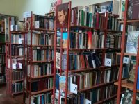 Шатурторфская библиотека