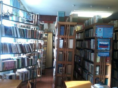 Трудовская сельская библиотека-филиал № 56