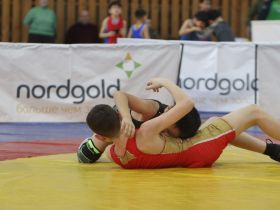 На республиканском турнире в Олекминском улусе определены лучшие борцы