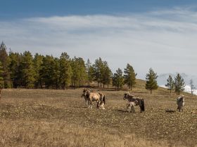 Весеннее пробуждение. Пешая экскурсия по Табагинскому Мысу