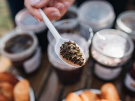 Фоторепортаж с фестиваля-конкурса «Полевая кухня» в Якутске