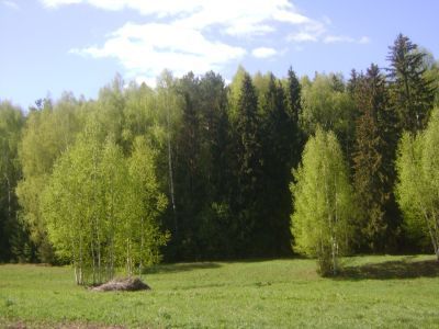 Священная роща