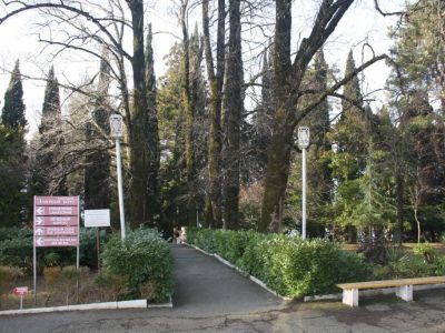 Дендрологический парк