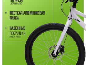 Подростковый велосипед Pifagor Q.E.D. 24, год 2025, цвет Фиолетовый