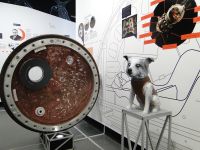 Исторический отдел Чайковского историко-художественного музея