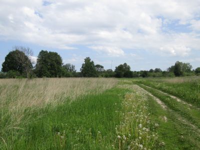 Памятное место, где 30 января 1942 г. партизаны разгромили карательный отряд  гитлеровцев