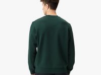 Мужской хлопковый свитшот Lacoste классического кроя