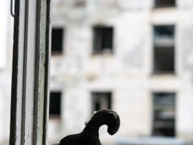 Автотур "Колыма". Маршрут: Якутск-Оймякон-Магадан (Летний сезон)