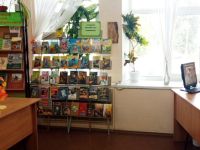 Большепикинская библиотека