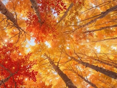 Музыкальные вечера. Осенние музыкальные встречи