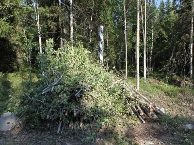 Верстовой столб в районе озера Большое Сенное