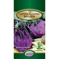 Капуста кольраби Виолета