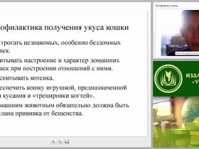 Первая медицинская помощь при укусах животных, змей и ужалениях насекомых (практикум)