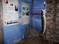 Музей Белого озера