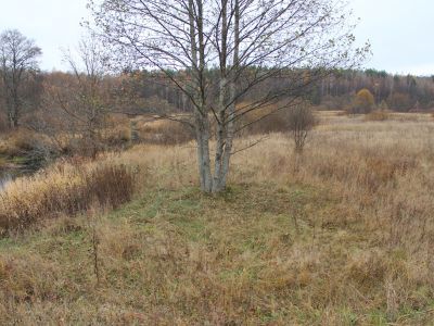 Памятное место, где в августе 1941 г. переправа через р. Вопь обеспечила прорыв обороны гитлеровцев 64 стрелковой дивизией и выход из окружения 16 и 20 армий