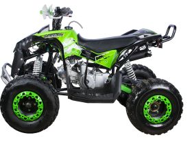 Квадроцикл YACOTA Renegade