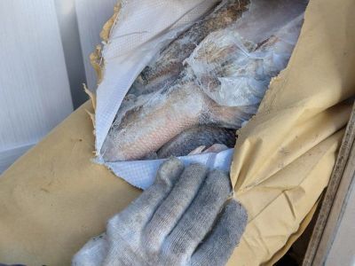 Щука, не прошедшая экспертизу, обнаружена в продаже в Якутии