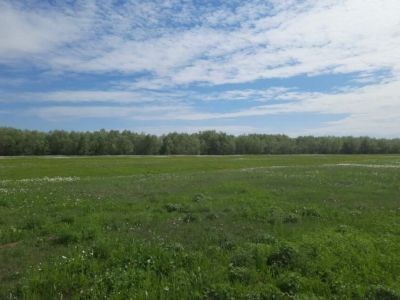 В России 51 фермерское хозяйство получит поддержку на развитие агротуристических проектов