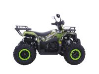 Квадроцикл YACOTA Warrior 200 PRO