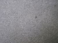 Альбом для пастели nuance., абразивная бумага, 4 цвета, 350 гр/м2