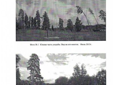 Усадьба В.А.Косаговского. Парк