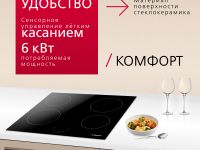 Электрическая панель Hansa BHC63313