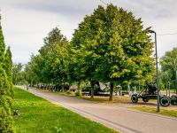 Сквер им. М. Рубцовой