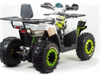 Квадроцикл MOTOLAND 200 Wild Track Lux ( Баланс. вал) (2021 Г.)