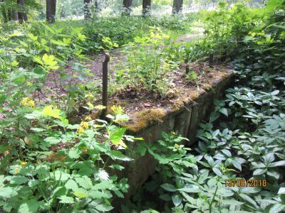 Мостик в Ивановской части парка