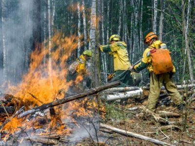 Нужны добровольцы на тушение лесных пожаров