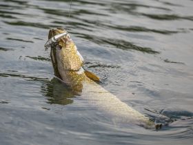 Рыбалка на реке Туолба