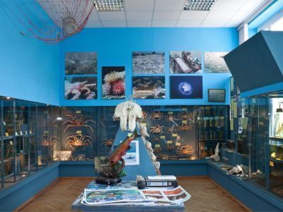 Музей Всероссийского научно-исследовательского института рыбного хозяйства и океанографии «Мир морских глубин»