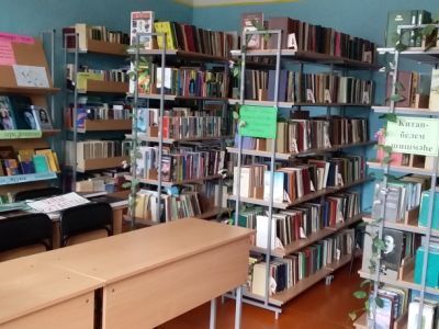 Яныбаевская сельская библиотека