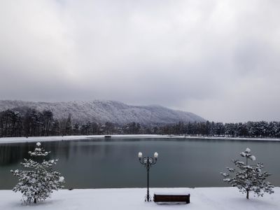 Курортный парк