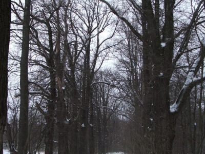 Парк