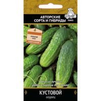 Огурец Кустовой