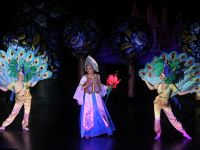 Санкт-Петербургский государственный детский драматический театр «На Неве»